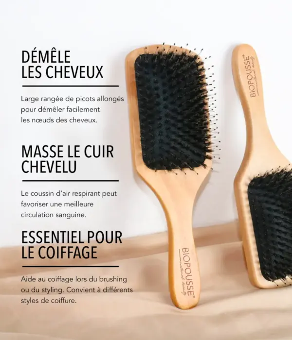 Brosse Antistatique - Poils de Sanglier