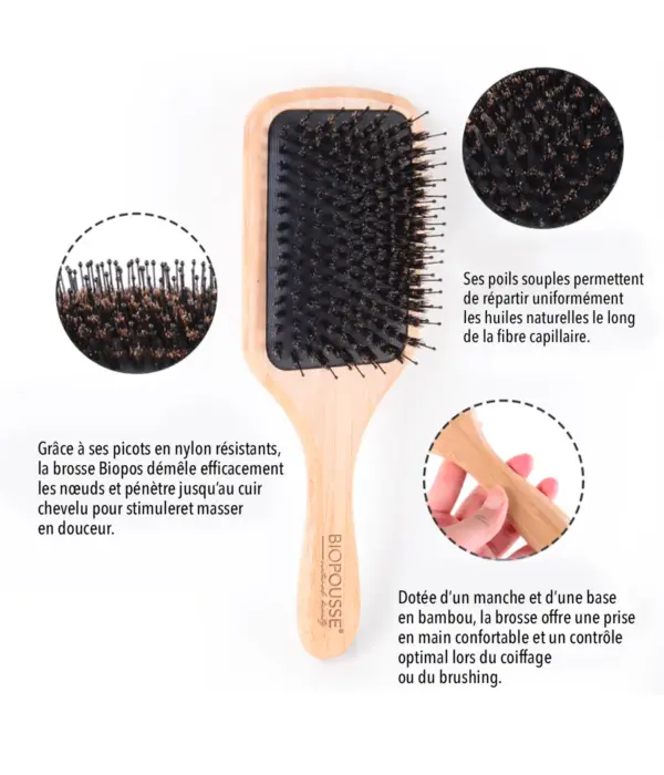 Brosse Antistatique - Poils de Sanglier