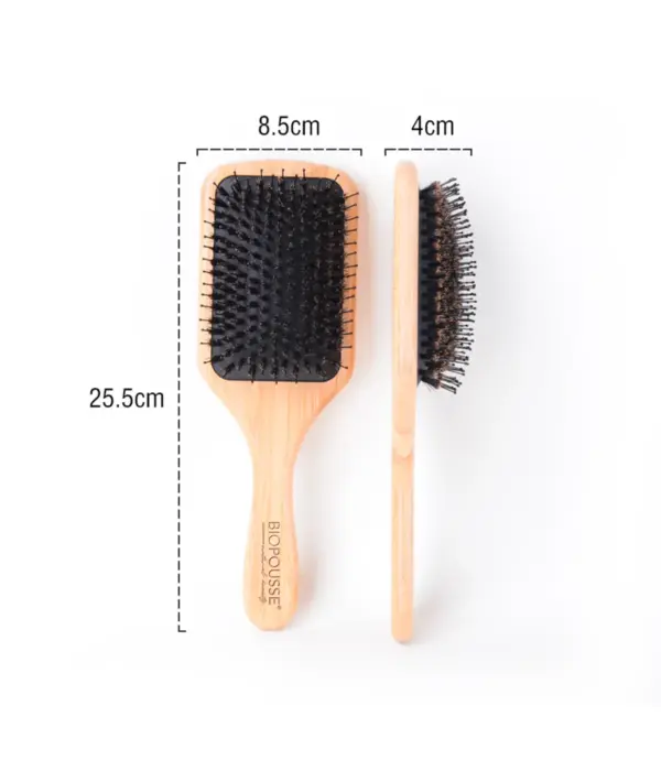 Brosse Antistatique - Poils de Sanglier