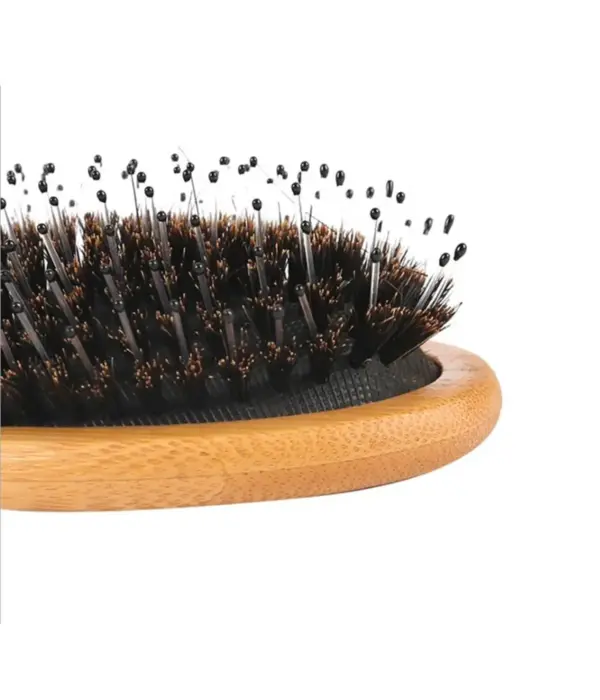 Brosse Antistatique - Poils de Sanglier